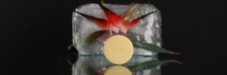 Terrain Brazilian Botanicals - Lotion Bars
