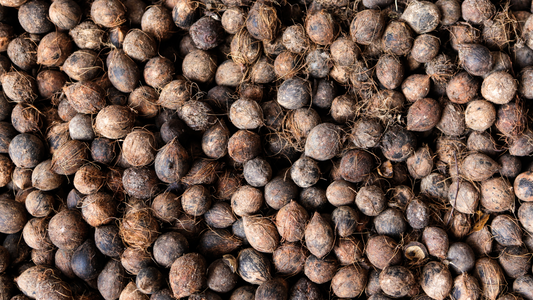 Discover Murumuru: The New Shea Butter