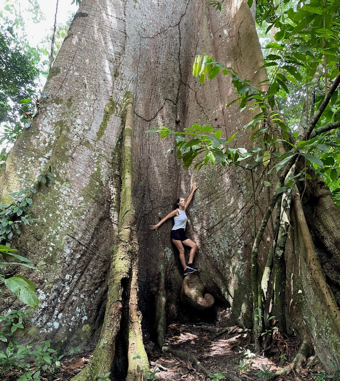 How I Discovered the Rainforest Repellent