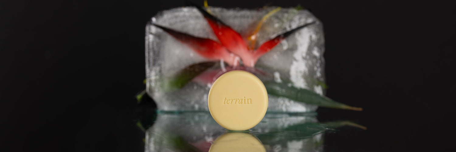 Terrain Brazilian Botanicals - Lotion Bars